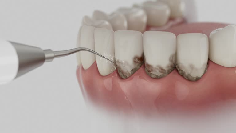 Reliable Dental contractor in Foley, MN by Dentist Open Now